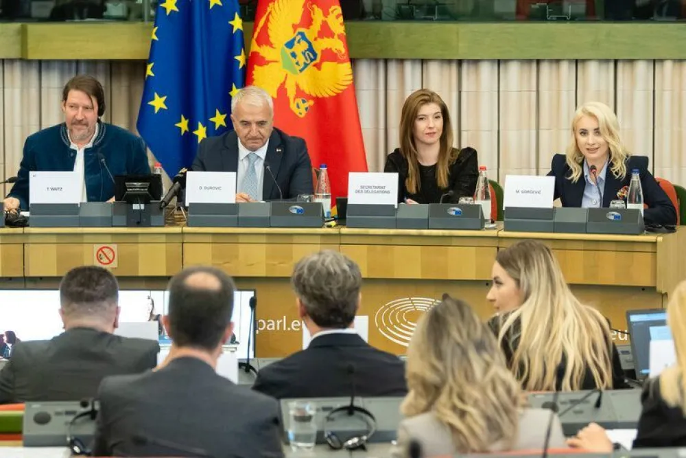 &nbsp;Gorčević na 23. sastanku Parlamentarnog odbora Evropske unije i Crne Gore za stabilizaciju i pridruživanje (POSP) 