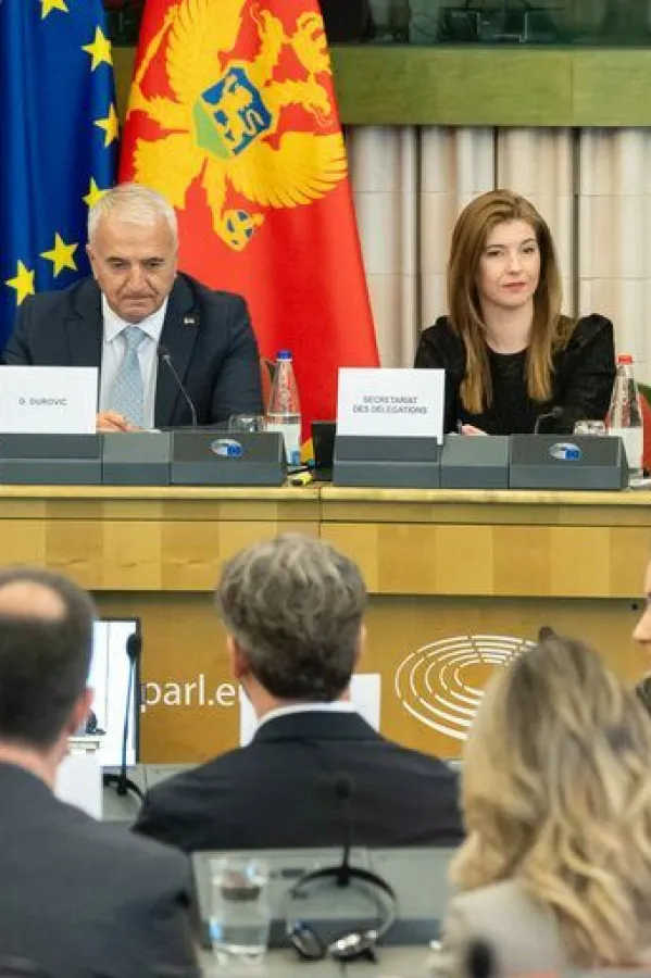 (Foto: Evropski parlament - preuzeto sa RTCG)