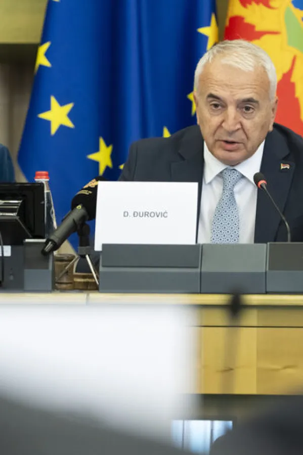 23rd EU-Montenegro SAPC meeting