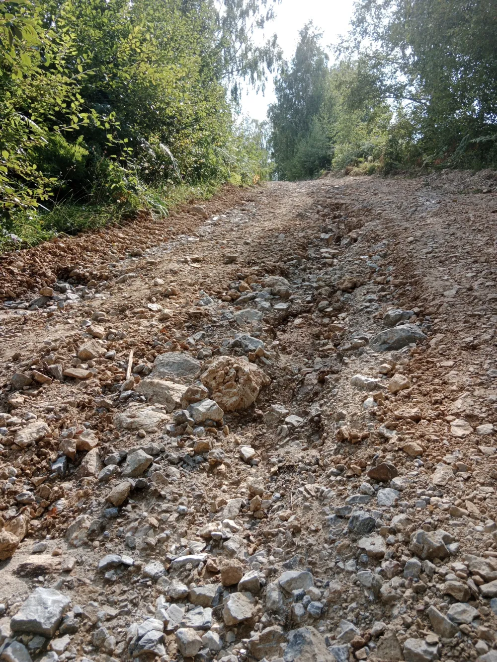 Asfaltom plaćaju dug biračima?