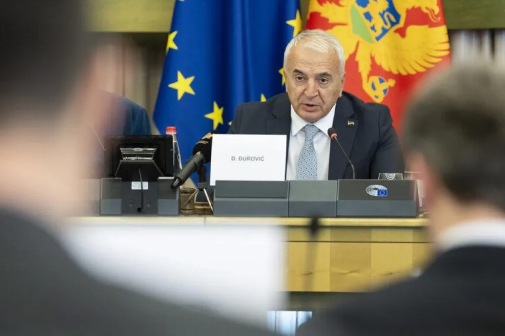 Dejan Đurović na zasjedanju POSP-a