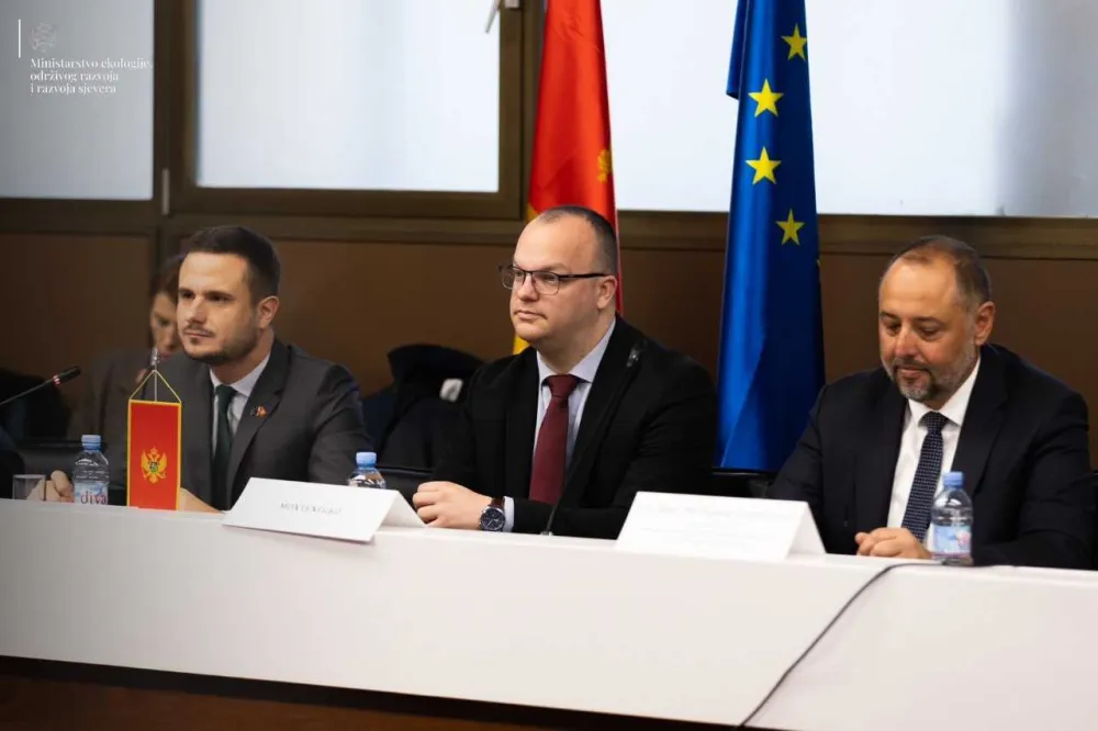 Ćulafić na 18. sastanku Pododbora