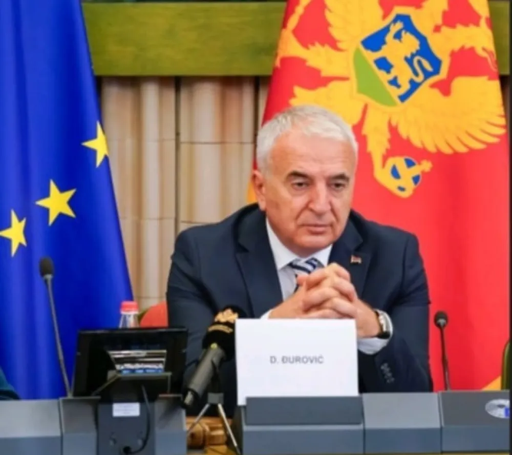 Đurović: Savjet Evrope iskazao punu podr&scaron;ku parlamentarnoj većini, Skup&scaron;tini i Vladi