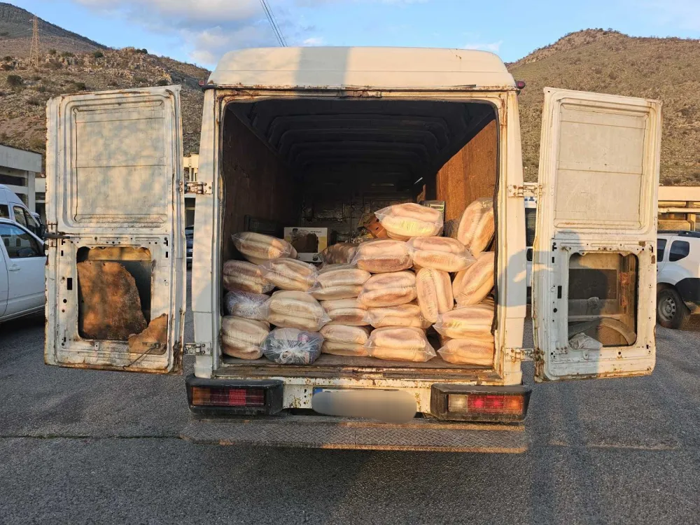 Akcija granične policije