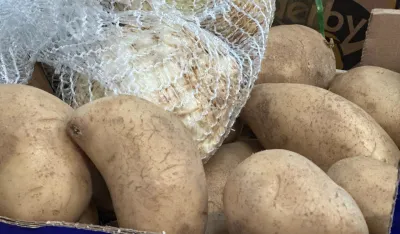 Kilogram mladog krompira 1,50 eura