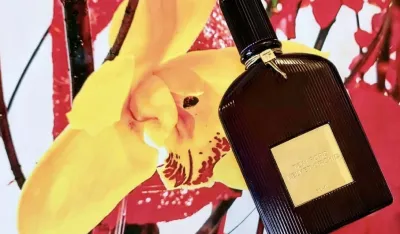 Parfemi koji traju cio dan