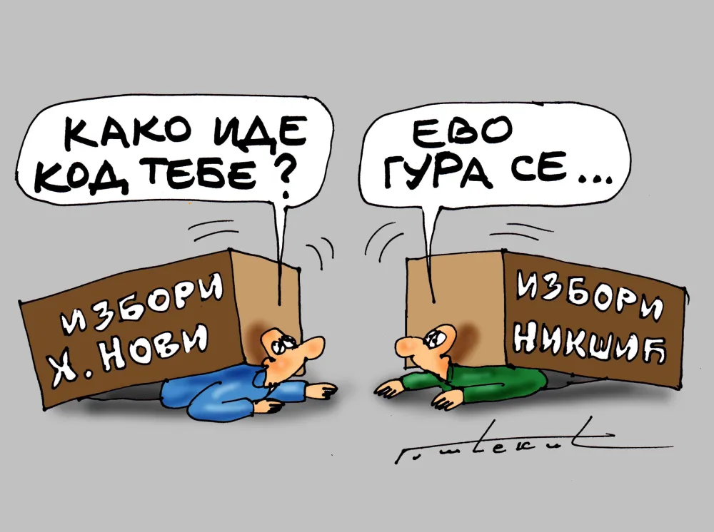 Goran &Scaron;ćekić karikatura Dana
