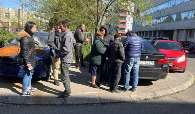 (VIDEO) Kuči traže za&scaron;titu od lutajuće stoke