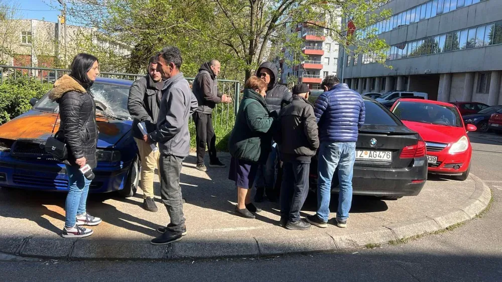 (VIDEO) Kuči traže za&scaron;titu od lutajuće stoke