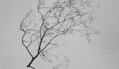 &bdquo;Ruža vetrova&rdquo; u &bdquo;F64&rdquo;