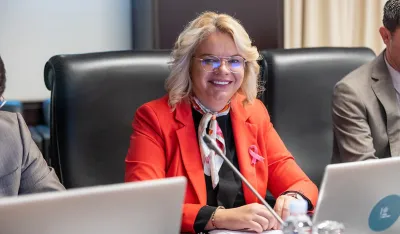 Vukićević: Da sam ja stavila saobraćajni znak ne bi bio uklonjen