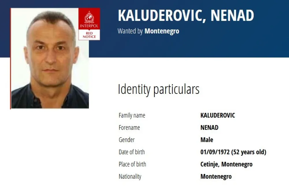 Raspisana međunarodna potjernica za Nenadom Kaluđerovićem