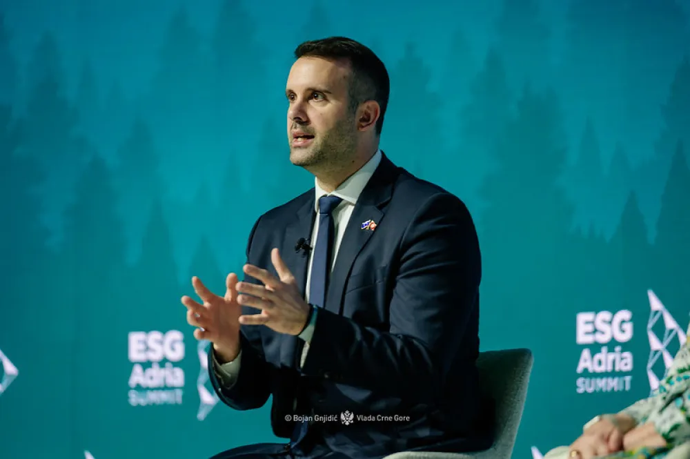 Spajić: Brzina, po&scaron;tujući sve pravne norme, trenutno znači život u ekonomskom smislu