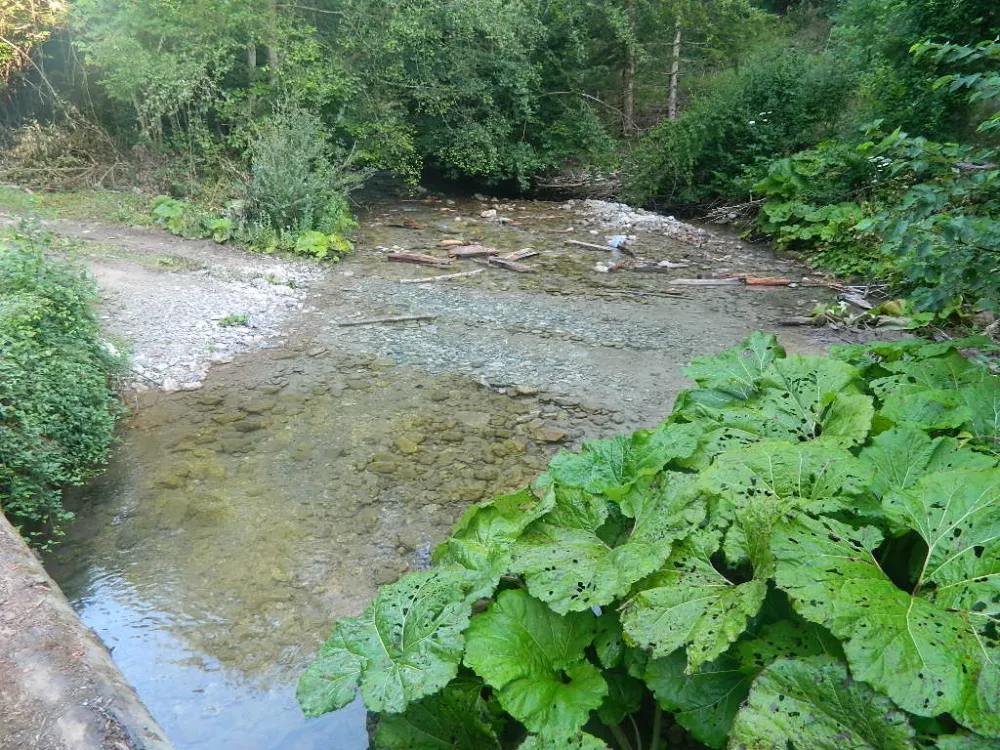 Mje&scaron;tani uspjeli da spriječe izgradnju malih hidroelektrana: Investitori digli ruke od Kaludarske rijeke