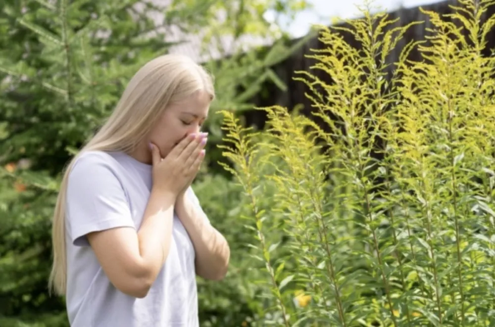 &Scaron;ta jesti a &scaron;ta ne ukoliko vas muče proljećne alergije?