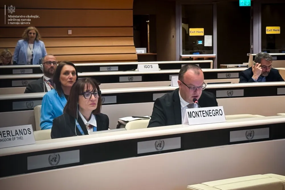 Ćulafić: Crna Gora dokazuje da je moguće ostvariti održivu budućnost kroz inovacije i trajnu posvećenost