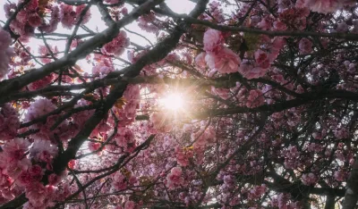 (VIDEO) Umjereno oblačno sa dužim sunčanim intervalima