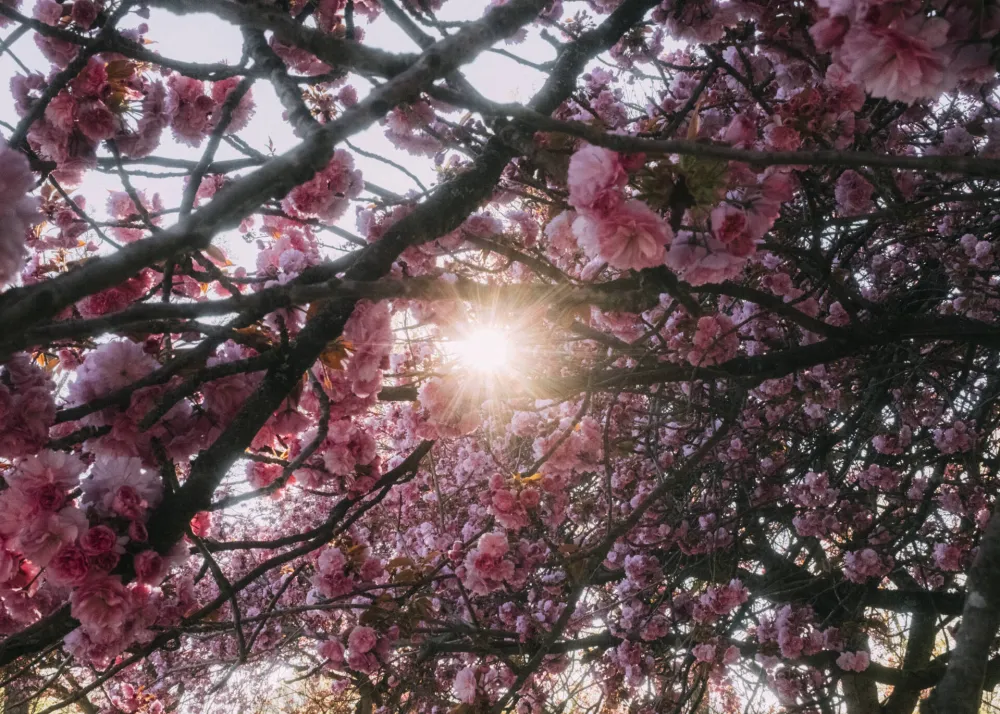 (VIDEO) Umjereno oblačno sa dužim sunčanim intervalima