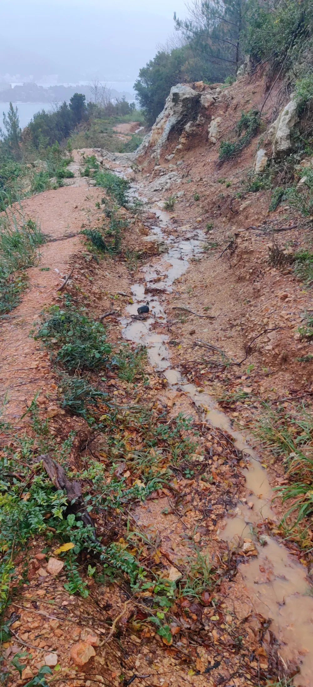 Građani traže spas za Spas