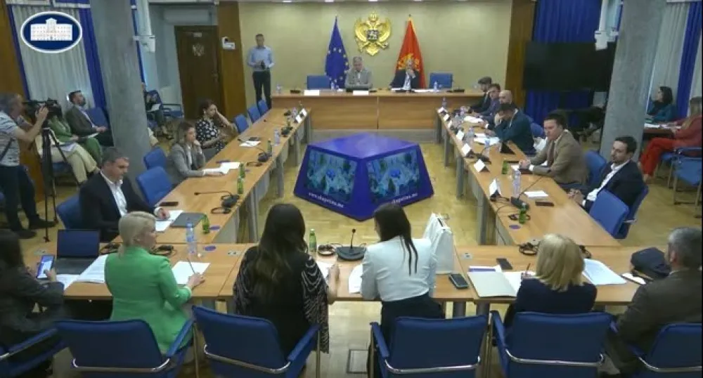 Zakonodavni odbor utvrdio da su sporazumi sa UAE u skladu sa Ustavom