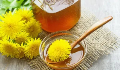 Maslačak je izvor zdravlja: Topi salo, čisti otrove i smanjuje &scaron;ećer