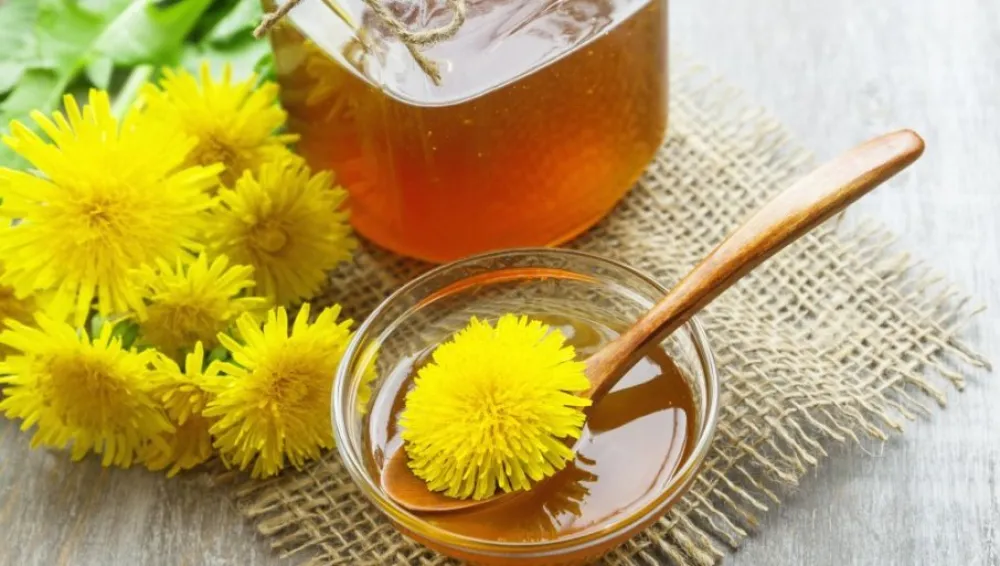 Maslačak je izvor zdravlja: Topi salo, čisti otrove i smanjuje &scaron;ećer