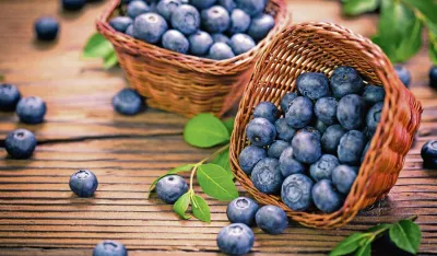 Zdravstvene koristi borovnica