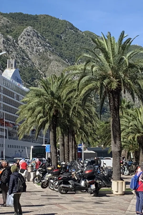 U Kotoru boravi 3,2 hiljade turista