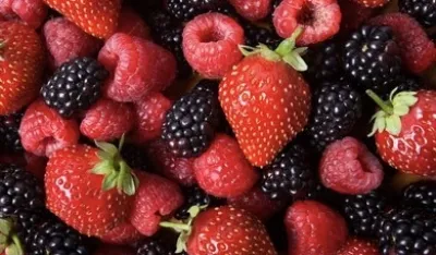 Namirnice koje pospje&scaron;uju koncentraciju i pamćenje