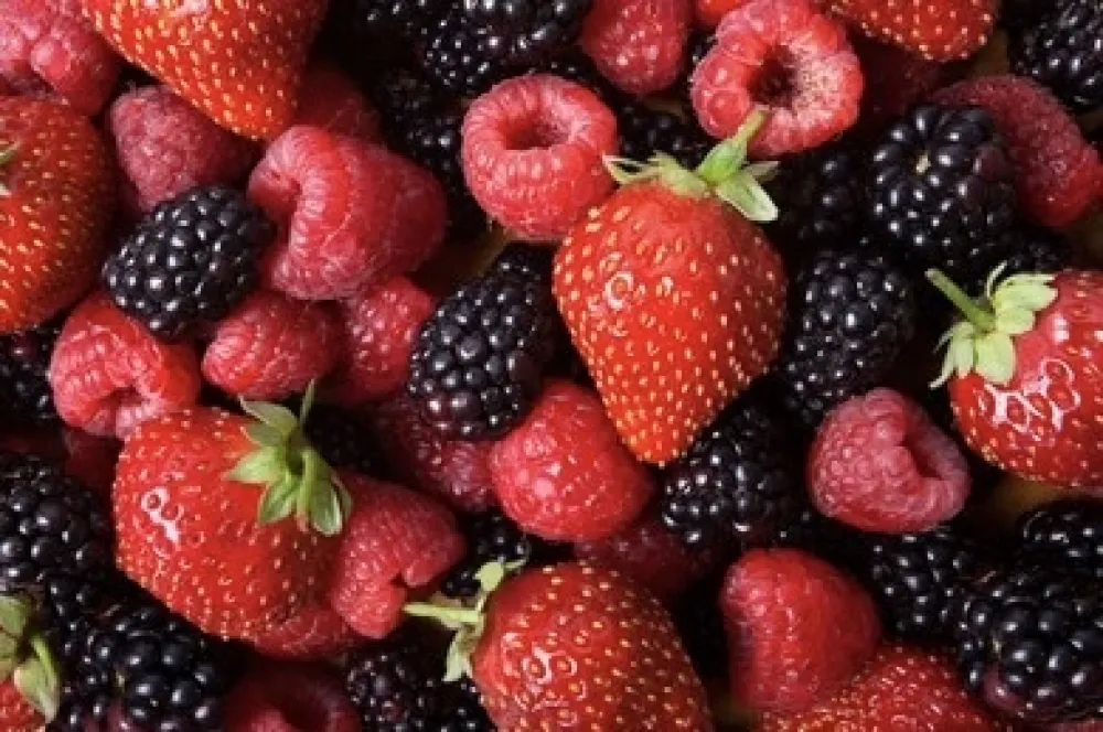 Namirnice koje pospje&scaron;uju koncentraciju i pamćenje