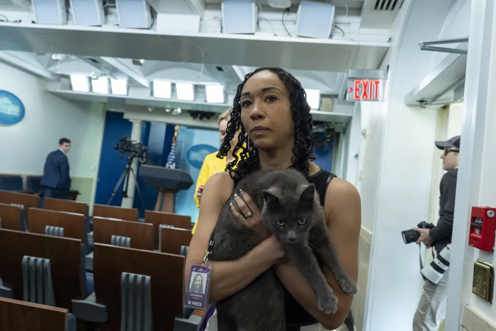 (FOTO) Mačka zalutala u Bijelu kuću, prisustvovala konferenciji za novinare