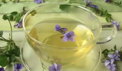 Divlja ljubičica pomaže kod glavobolje i prehlade