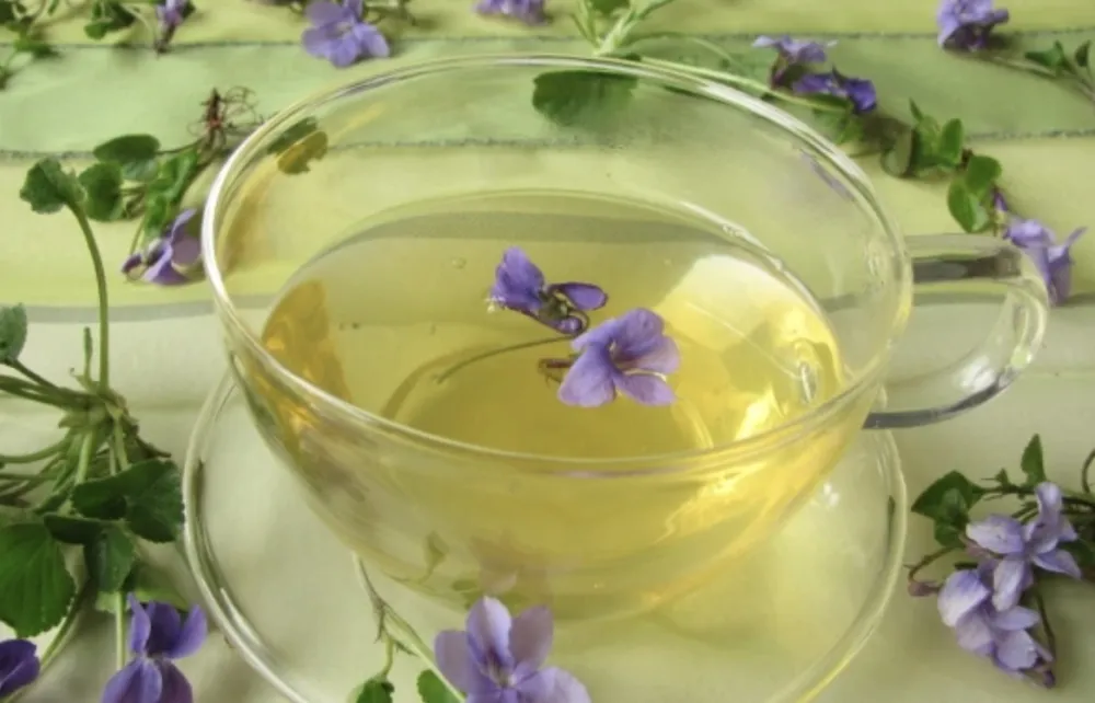 Divlja ljubičica pomaže kod glavobolje i prehlade