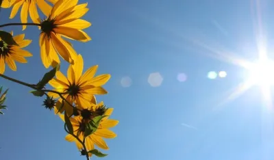 Sjutra do 23 stepena