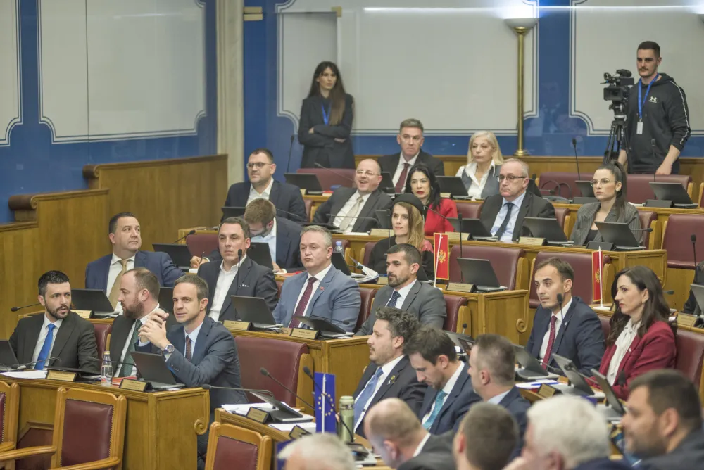 Partije osudile napad na Ćalović Marković: Podr&scaron;ka ljudima koji brane Crnu Goru