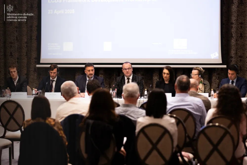 Ćulafić: Strategija niskougljeničnog razvoja Crne Gore korak prema održivoj budućnosti