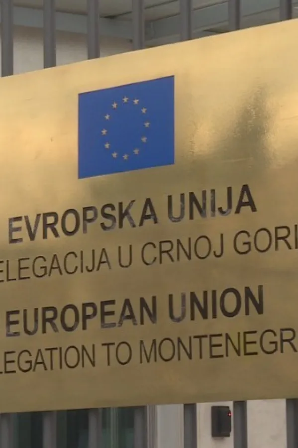 Delegacija EU