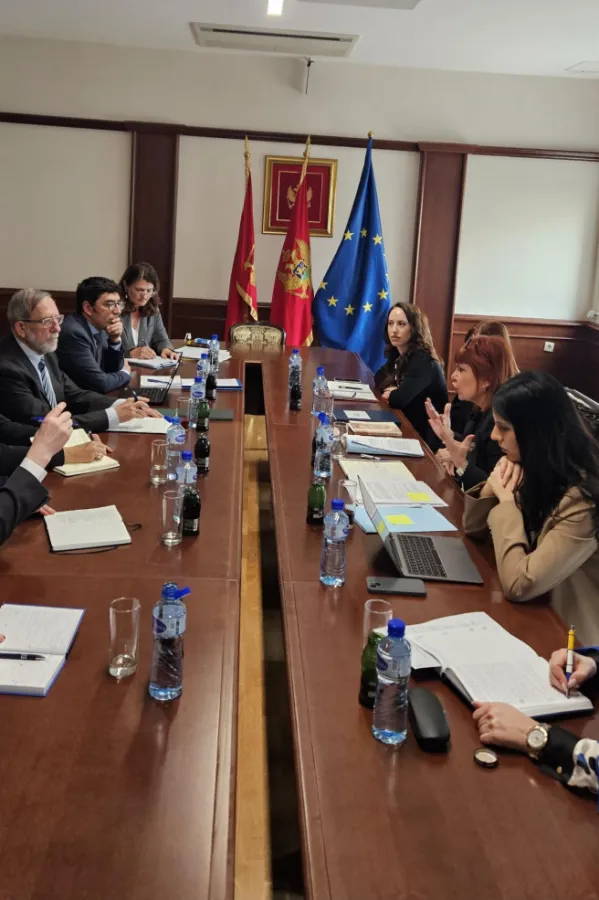 Ni&scaron;ta od hitnosti, mi&scaron;ljenje Venecijanske komisije stiže tek u junu