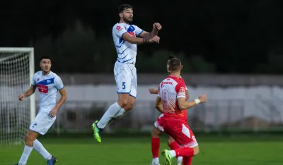 Момчило Дуловић