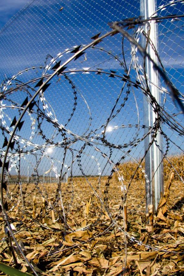 Zadržavanje do 72 sata zbog krijumčarenja ljudi i ilegalnog prelaska granice