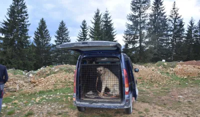 (FOTO) Rožajska policija procesuirala dvije osobe zbog organizovanja borbe pasa