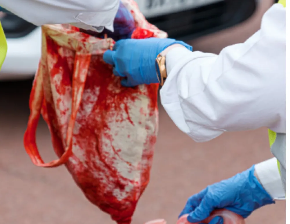 Ubijena njemačka književnica Aleksandra Frilih