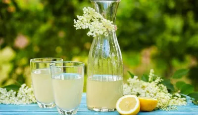 Starinski recept za sok od zove