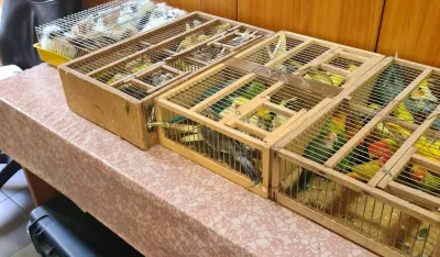 (FOTO) Na Graničnom prelazu Božaj spriječeno krijumčarenje većeg broja kućnih ljubimaca