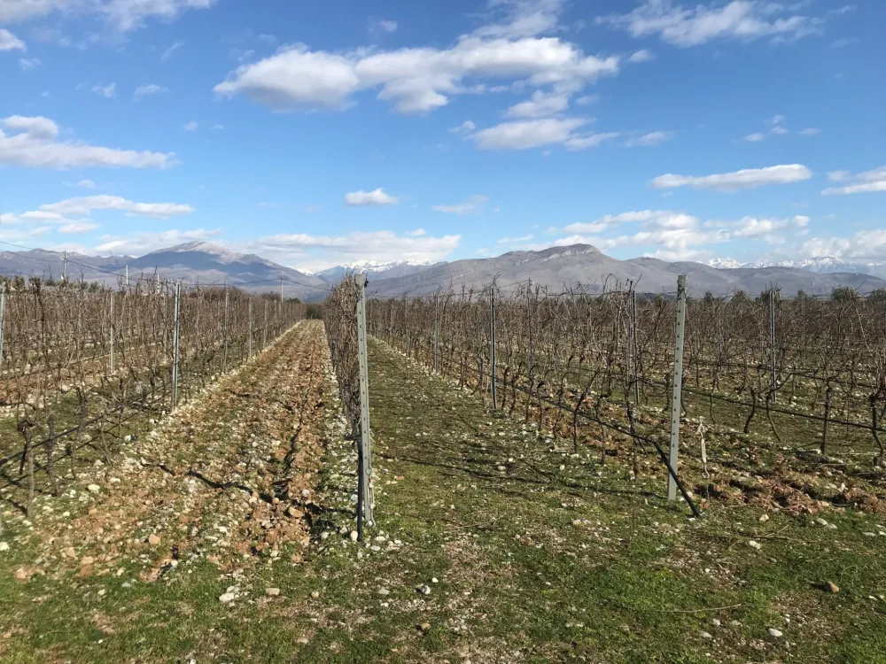 Manja povr&scaron;ina kori&scaron;ćenog poljoprivrednog zemlji&scaron;ta u 2024. godini