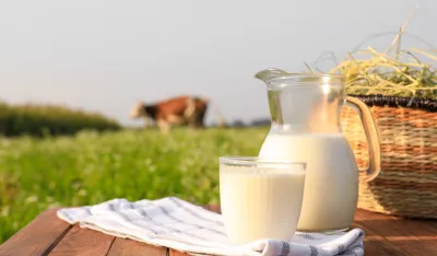 Ukupni prihodi tri mljekare iz Crne Gore manji od Imlekovih