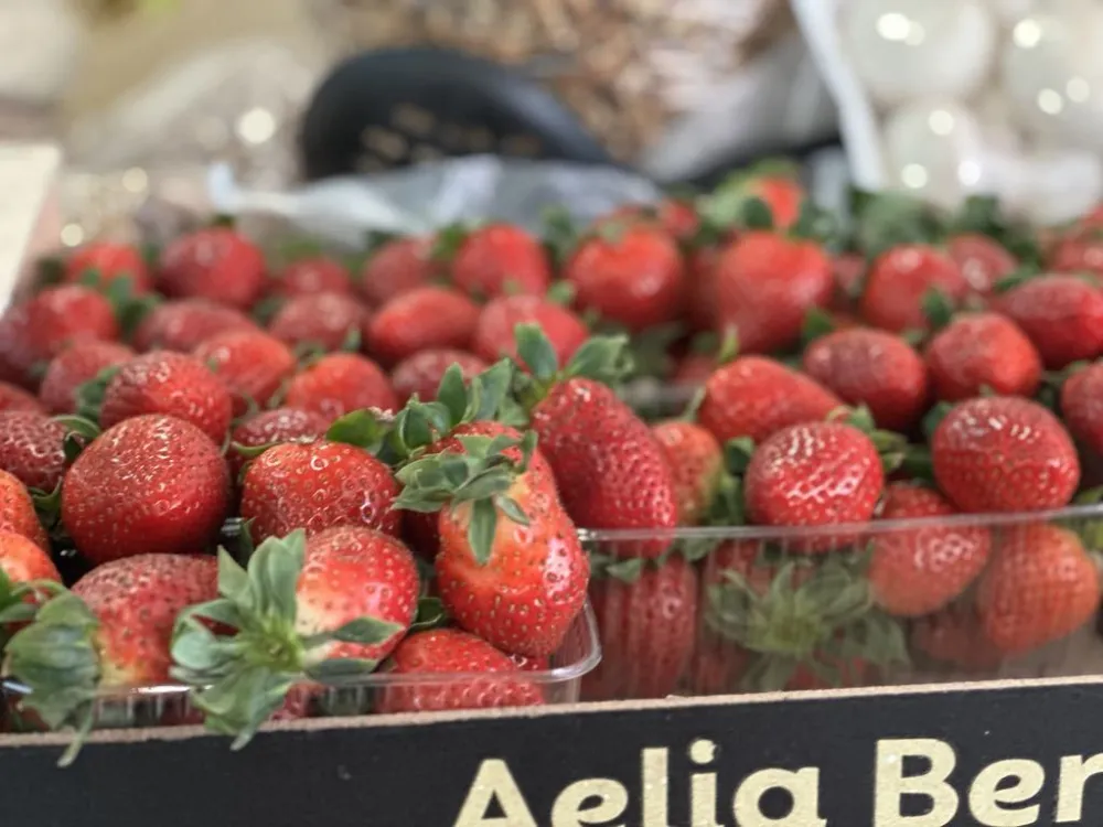 ​Kilogram jagoda pet eura