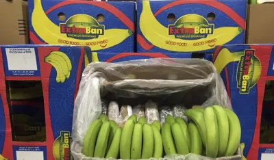 Kokain u bananam, ilustracija