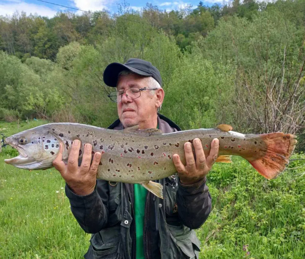 U Ćehotini upecao pastrmku od pet kila