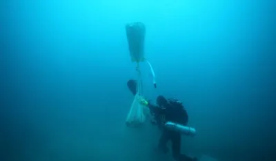 Pirati kradu podvodno crnogorsko blago: Pljačkom u podmorju finansiraju i organizovani kriminal